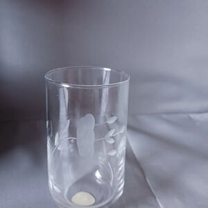 -Princess House glass heritage pattern 1 glass